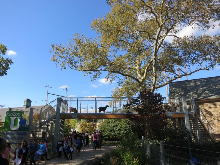 Children's Zoo, Philadelphia Zoo, 34th Street and Girard Avenue, Philadelphia, Pennsylvania, October 18, 2013