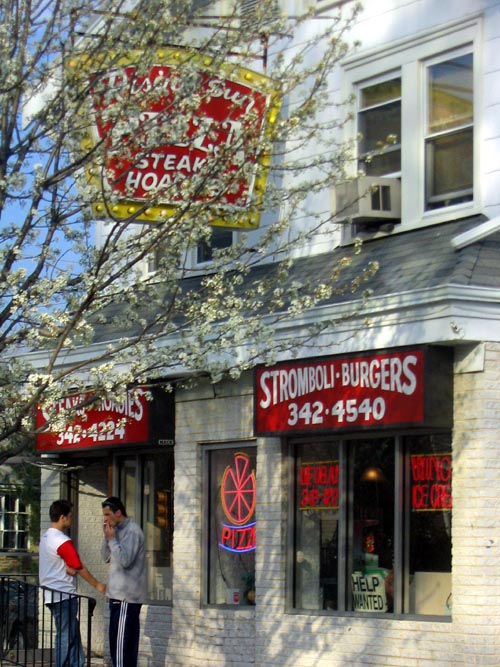 Rising Sun Pizza, 6919 Rising Sun Avenue, Northeast Philadelphia, Pennsylvania