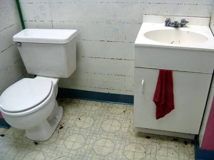 Bathroom Behind Cockroach Kitchen, Insectarium, 8046 Frankford Avenue, Northeast Philadelphia, Philadelphia, Pennsylvania