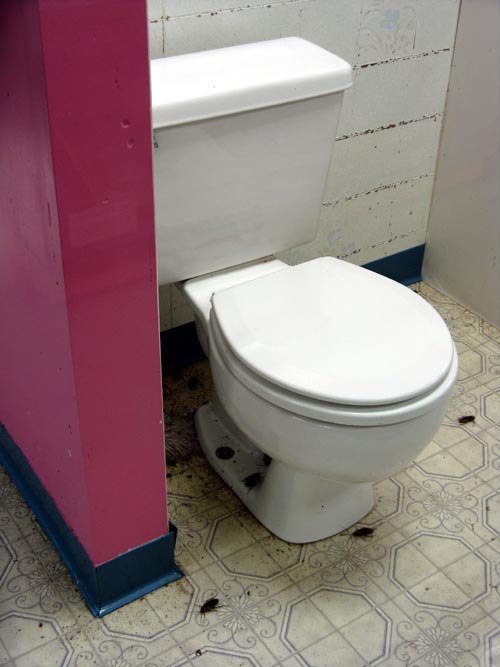 Bathroom Behind Cockroach Kitchen, Insectarium, 8046 Frankford Avenue, Northeast Philadelphia, Philadelphia, Pennsylvania