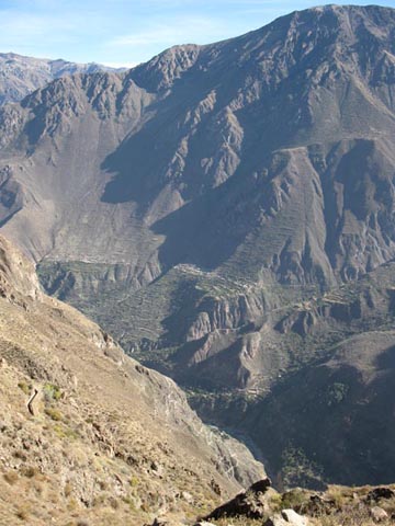 Colca Canyon/Cañon de Colca, Arequipa Region, Peru