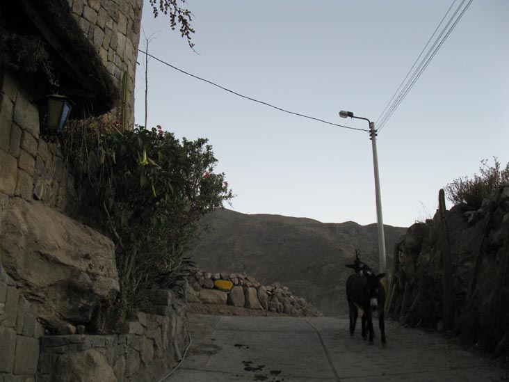 Calle Cruz Blanca Outside Kuntur Wassi, Cabanaconde, Colca Valley/Valle del Colca, Arequipa Region, Peru
