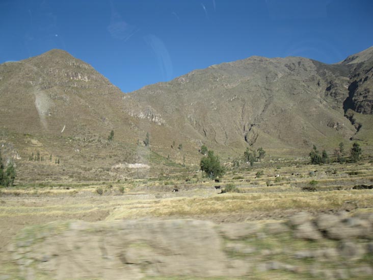 Colca Canyon/Cañon de Colca Near Cabanaconde, Colca Valley/Valle del Colca, Arequipa Region, Peru, July 6, 2010