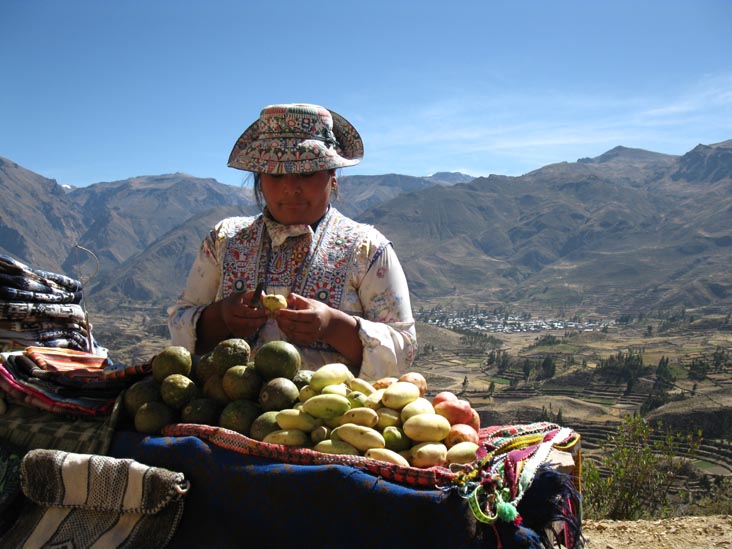Mirador Choquetico, Colca Canyon/Cañon de Colca, Colca Valley/Valle del Colca, Arequipa Region, Peru, July 7, 2010