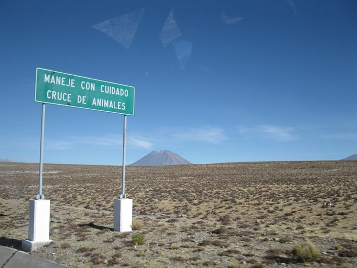 Reserva Nacional Salinas y Aguada Blanca, Arequipa Region, Peru