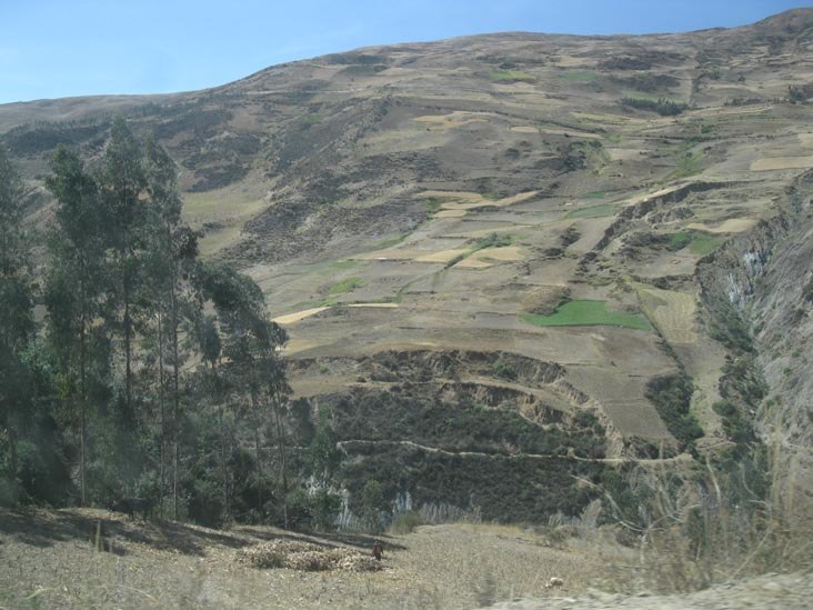 Between Colquepata and Paucartambo, Cusco Region, Peru, July 15, 2010, 11:26 a.m.