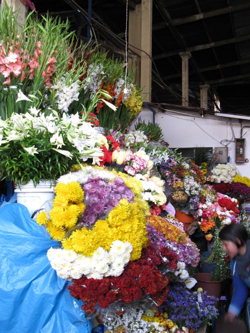 Flower Stands, Mercado San Pedro, Cusco City Tour, Cusco, Peru, July 11, 2010