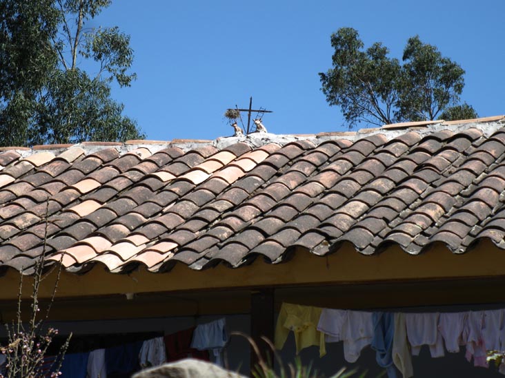 Rooftop Toritos/Pucara Bulls, Chichubamba, Urubamba, Cusco Region, Peru