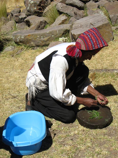 Soap Plant Demonstration, Marcahuasi, Taquile Island/Isla Taquile, Lake Titicaca/Lago Titicaca, Peru