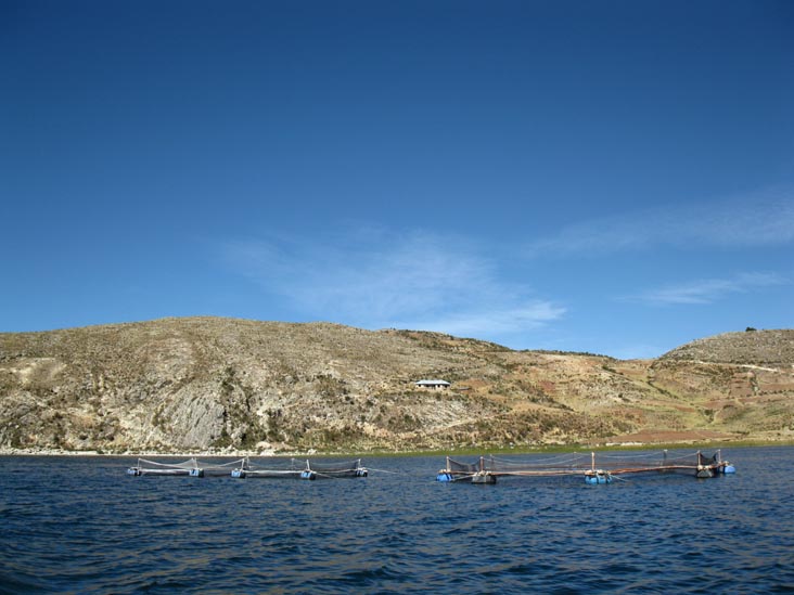 Fish Farms, Lake Titicaca/Lago Titicaca, Peru