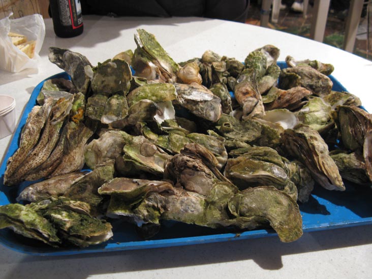 Tray of Steamed Oysters, Bowens Island Restaurant, 1870 Bowens Island Road, Charleston, South Carolina