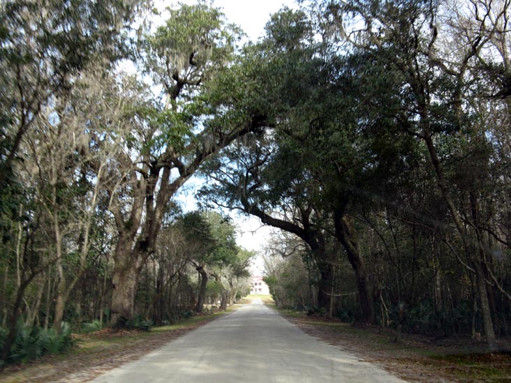 Driveway, Drayton Hall, 3380 Ashley River Road, Charleston, South Carolina