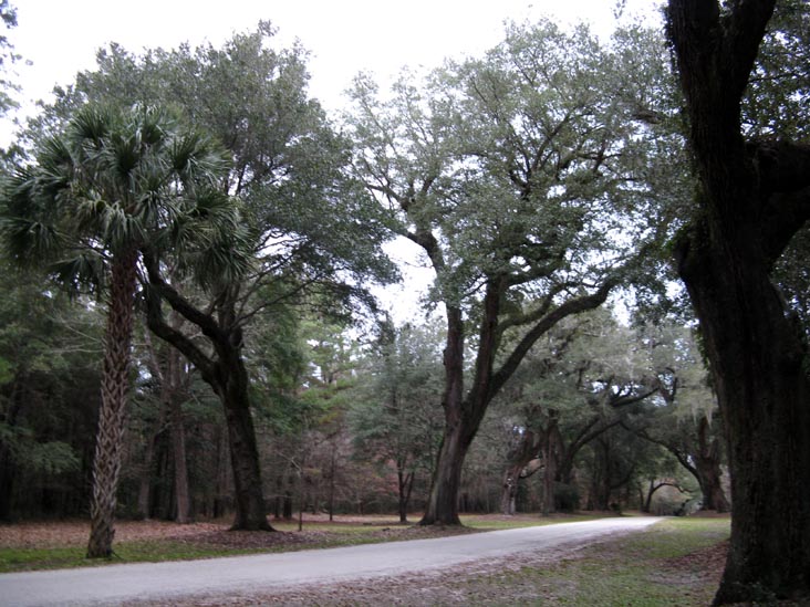 Driveway From African-American Cemetery, Drayton Hall, Ashley River Road, Charleston, South Carolina
