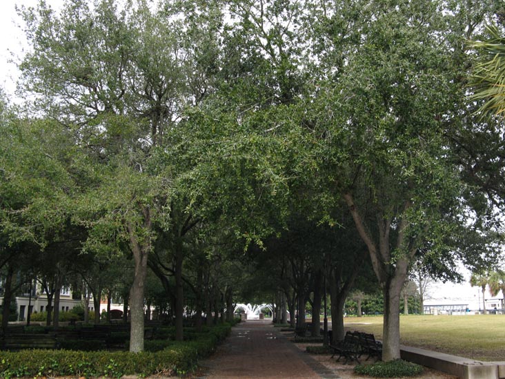 Live Oak Promenade, Waterfront Park, Charleston, South Carolina