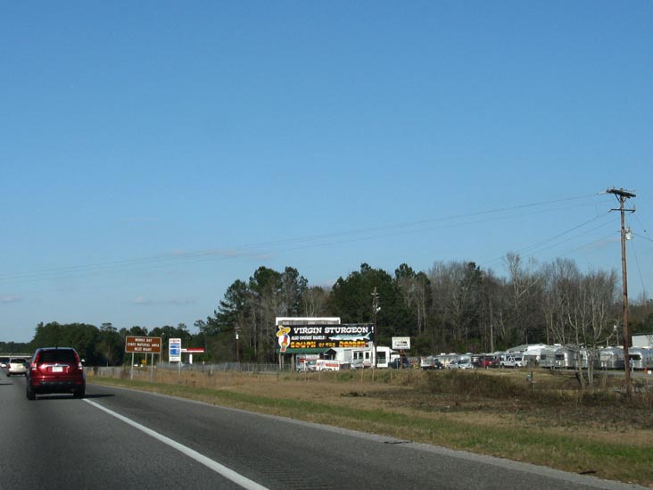 Virgin Sturgeon! Also Unused Bagels South of the Border Billboard, 57 Miles From South of the Border, Interstate 95, South Carolina