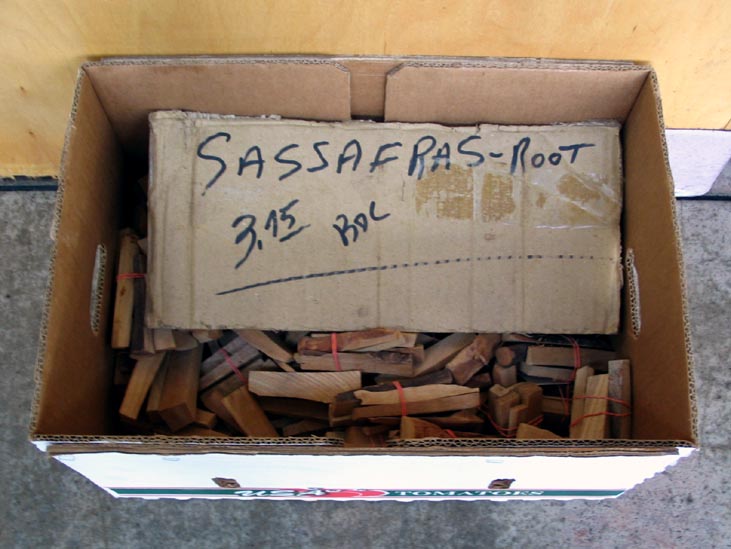 Sassafras Root, Nashville Farmers Market, 900 8th Avenue North, Nashville, Tennessee