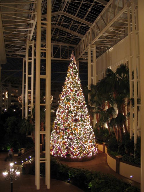 Christmas Tree, Opryland Resort, Nashville, Tennessee