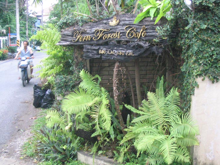 Fern Forest Cafe, 2/2 Singharaj Soi 4, Chiang Mai, Thailand