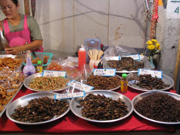 Fried Insects, Inthakin City Pillar Festival, Wat Chedi Luang, Chiang Mai, Thailand