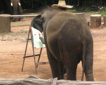 Elephant Show, Mae Taeng River Valley, Chiang Mai Province, Thailand