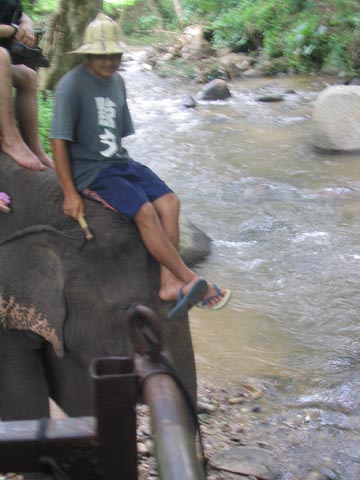 Elephant Ride, Mae Taeng River Valley, Chiang Mai Province, Thailand