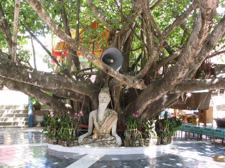 Bodhi Tree, Big Buddha, Ko Samui, Thailand