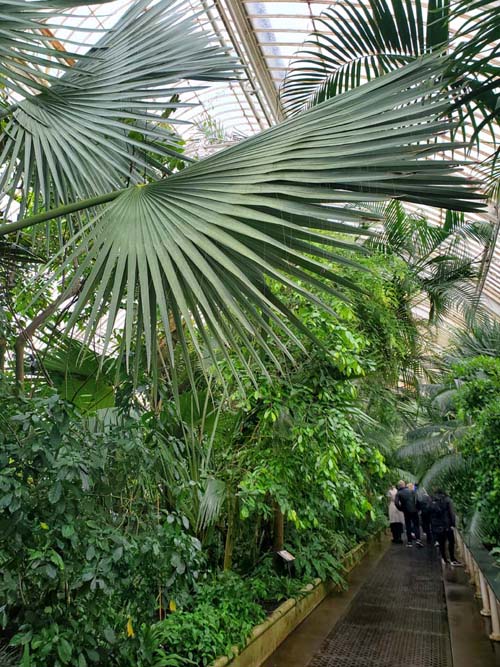 Palm House, Kew Gardens, Richmond, London, England, April 14, 2023