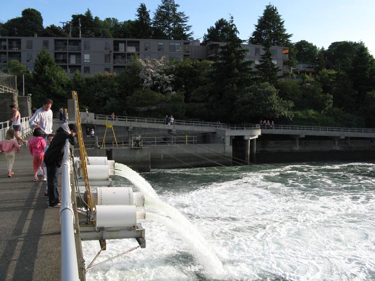 Spillway, Hiram M. Chittenden Locks, Ballard, Seattle, Washington