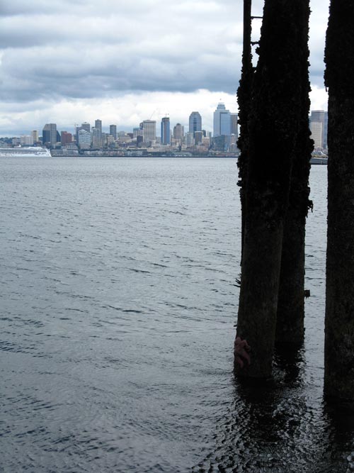 Seacrest Dock, West Seattle, Seattle, Washington