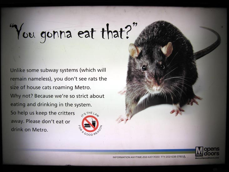 "You Gonna Eat That?" Rats PSA, Fort Totten Station, DC Metrorail, Washington, D.C.