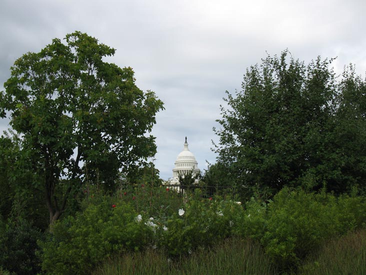 U.S. Capitol Building From United States Botanic Garden, 3rd Street and Independence Avenue, Washington, D.C., August 14, 2010
