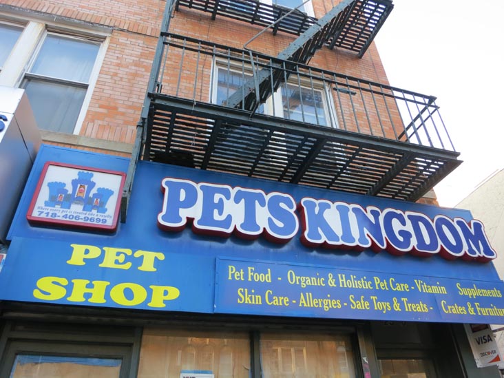 Pets Kingdom, 25-40 Steinway Street, Astoria, Queens, November 17, 2012