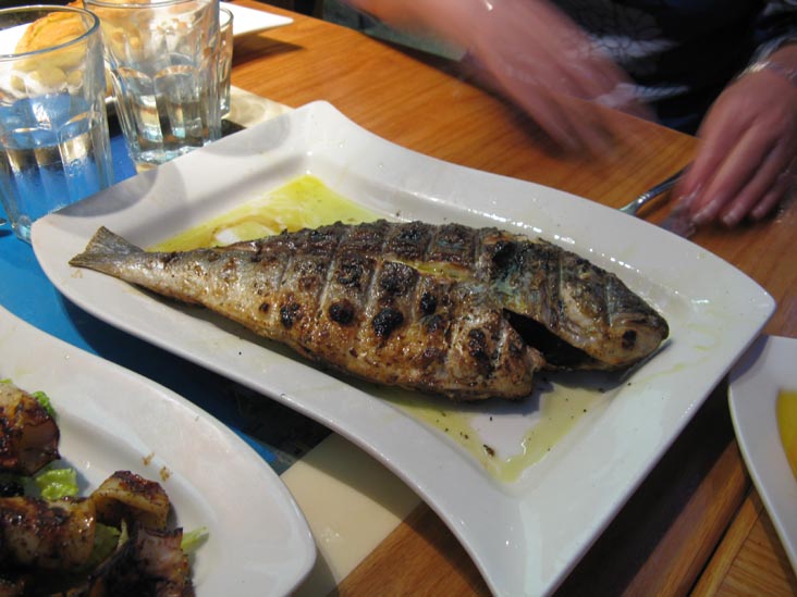 Grilled Fish, Taverna Kyclades, 33-07 Ditmars Boulevard, Astoria, Queens, August 6, 2009