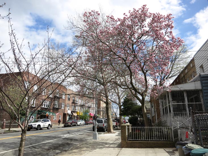 South Side of Ditmars Boulevard Between 19th and 21st Streets, Astoria, Queens, April 13, 2013
