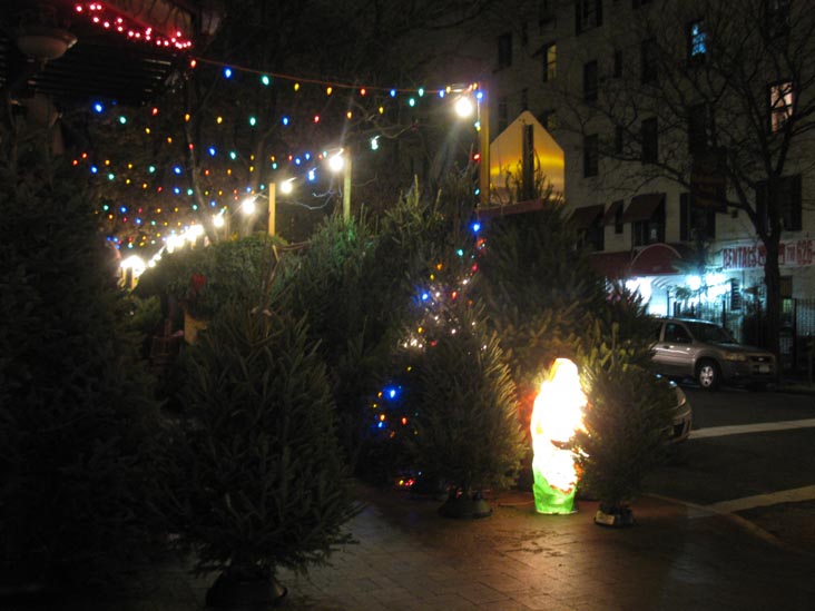 Ditmars Forest, Ditmars Boulevard and 33rd Street, NW Corner, Astoria, Queens, December 15, 2011