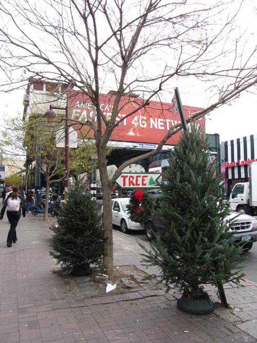 Ditmars Forest, Astoria Walk, 22-09A 31st Street, Astoria, Queens, November 30, 2012
