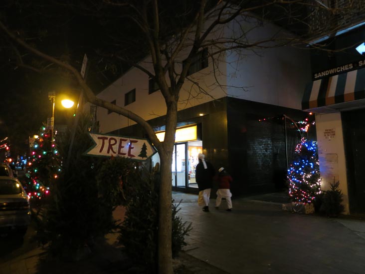 Ditmars Forest, Astoria Walk, 22-09A 31st Street, Astoria, Queens, December 15, 2012