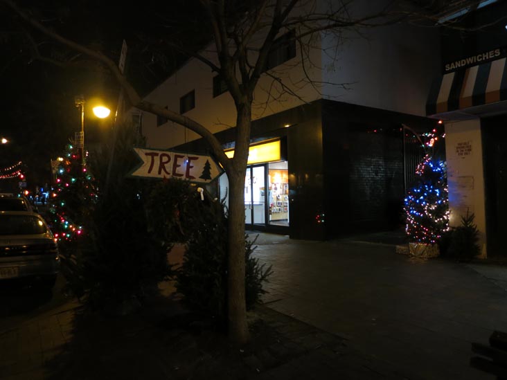 Ditmars Forest, Astoria Walk, 22-09A 31st Street, Astoria, Queens, December 15, 2012