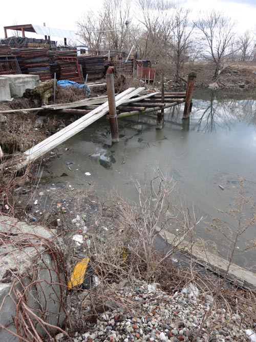 Steinway Creek/Luyster Creek, Astoria, Queens, March 1, 2013