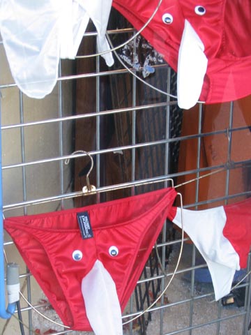 Male Power Underwear, Steinway Street, Astoria, Queens, March 13, 2004