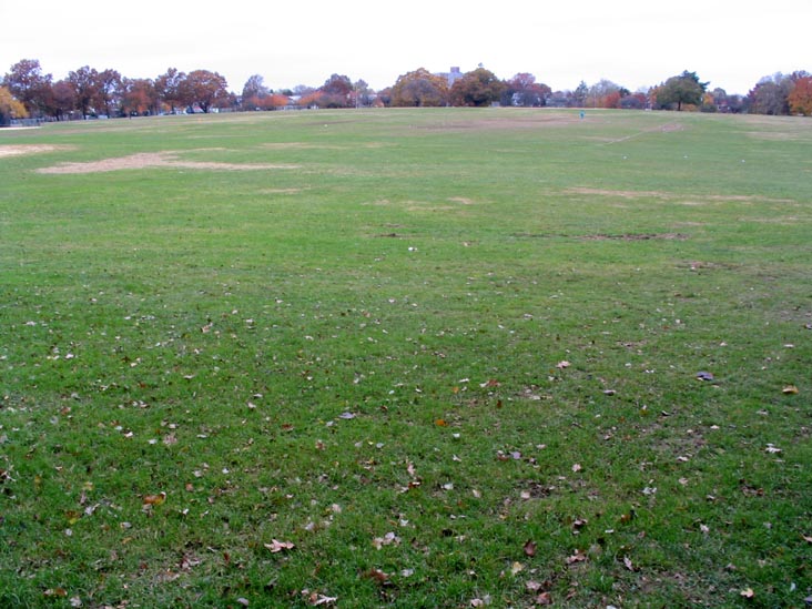 Cunningham Park, Queens, November 7, 2006