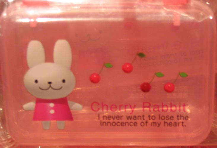 Cherry Rabbit, "I never want to lose the innocence of my heart," Banzai 99 Cent Plus Store, Flushing Mall, Flushing, Queens