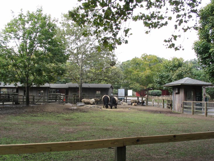 Queens Zoo, Flushing Meadows Corona Park, Queens, September 14, 2005