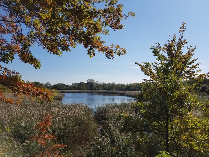 Ridgewood Reservoir, Highland Park, Queens, October 19, 2019