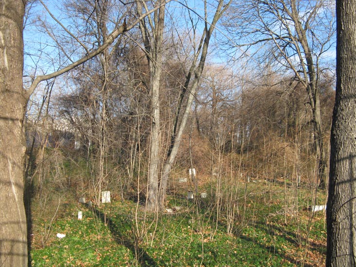Prospect Cemetery From 158th Street, York College, Jamaica, Queens