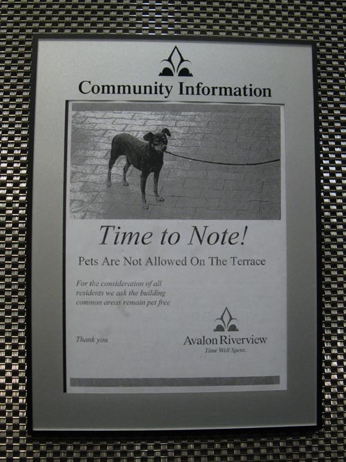 Time To Note! Terrace Pet Rules, Elevator, Avalon Riverview North, 4-75 48th Avenue, Hunters Point, Long Island City, Queens, May 6, 2010