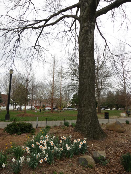 Juniper Valley Park, Middle Village, Queens