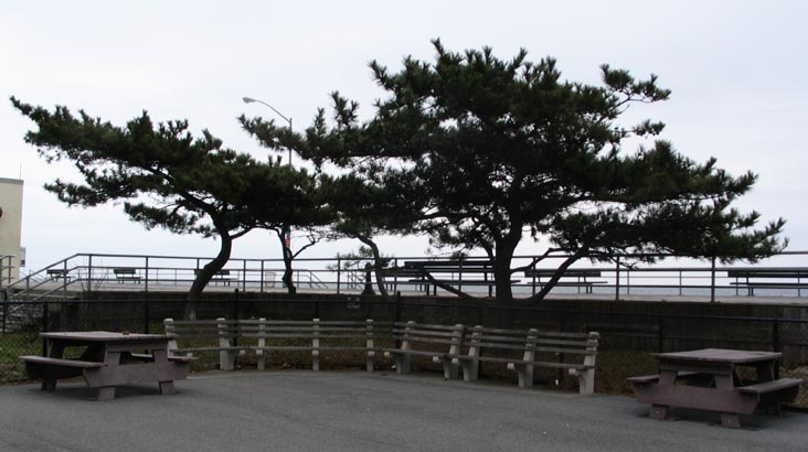 Japanese Pines, Playground, Rockaway Beach Boardwalk, The Rockaways, Queens