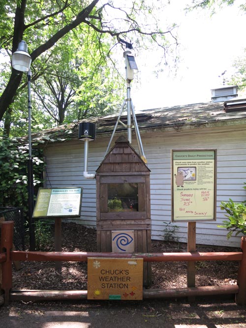 Chuck's Weather Station, Staten Island Zoo, Staten Island, June 23, 2013