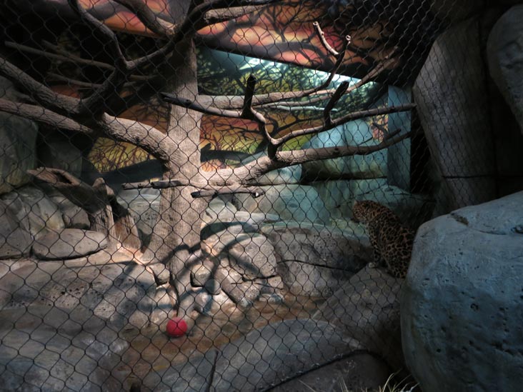 Staten Island Zoo, Staten Island, June 23, 2013